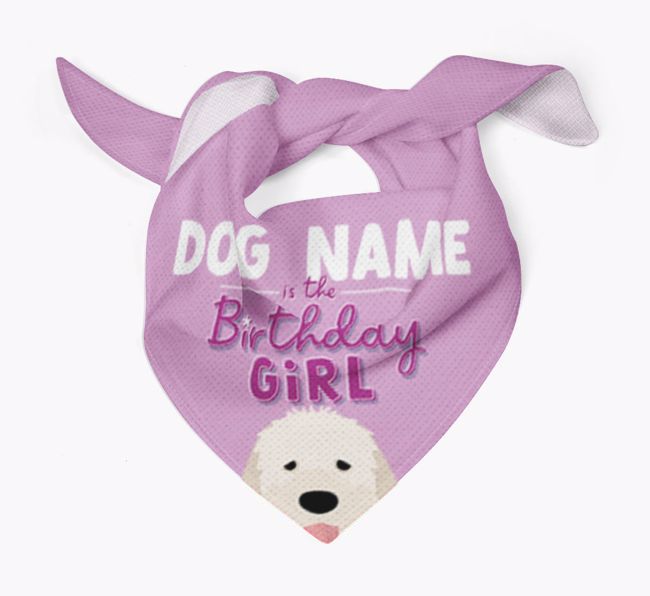 Birthday Girl: Personalised {breedFullName} Bandana